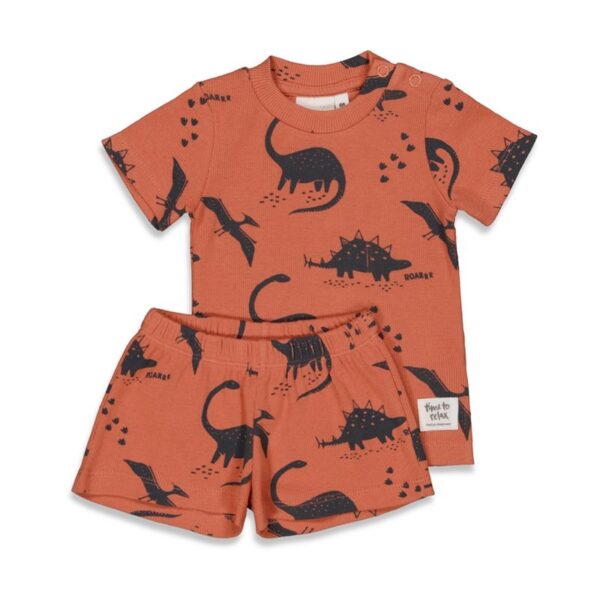 Dino Dale - Premium Sleepwear by FEETJE