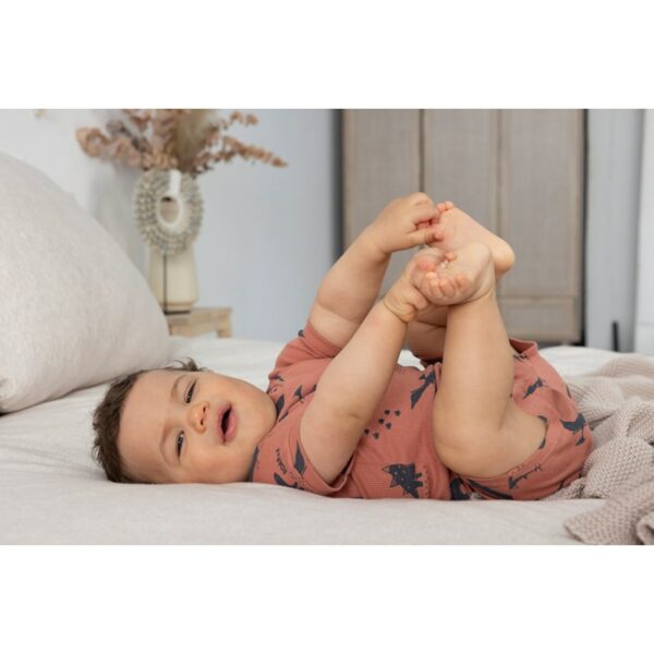 Dino Dale - Premium Sleepwear by FEETJE