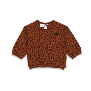 Feetje Sweater AOP - Wild