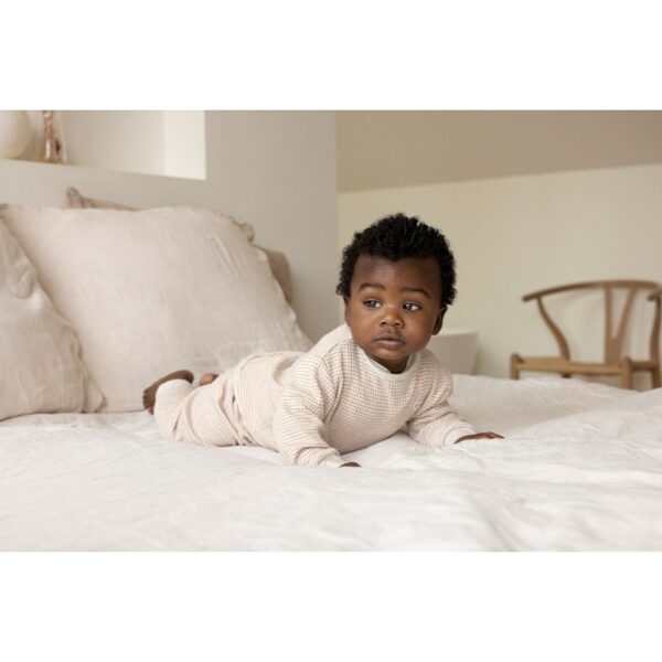 Sfeer NOS50 305614 20