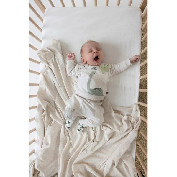 Feetje Sok - Cool - A - Saurus