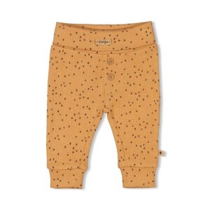 Feetje Broek AOP - Tiny Roar