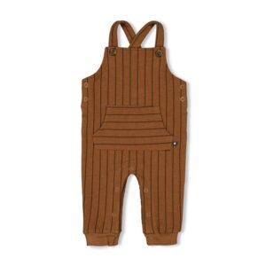 Feetje Tuinbroek streep - Best Friends