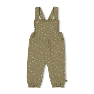 Feetje Tuinbroek AOP - Harvest Of Love